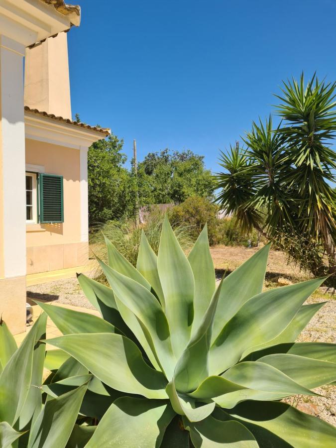 Casa Dos Ventos Bed & Breakfast Olhao Luaran gambar